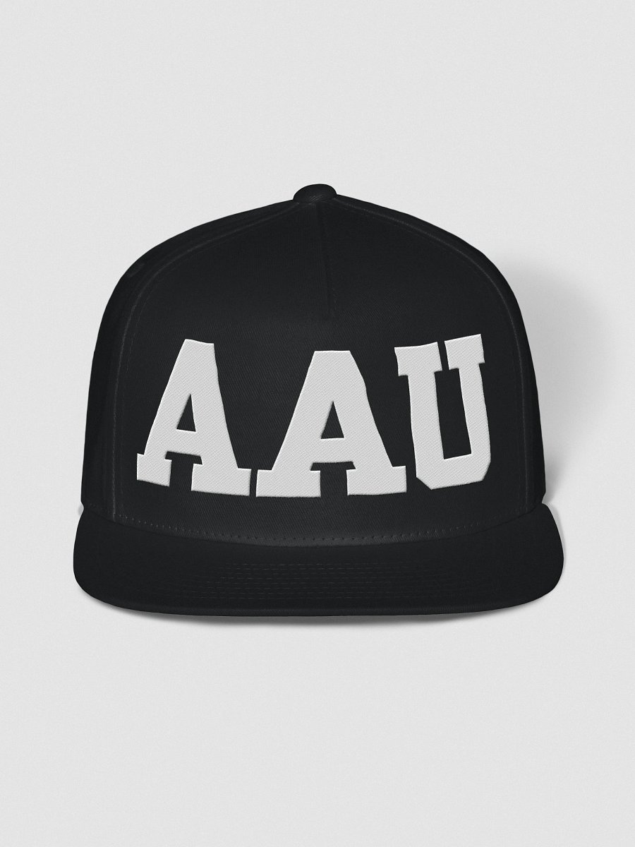 AAU Snapback Cap product image (5)