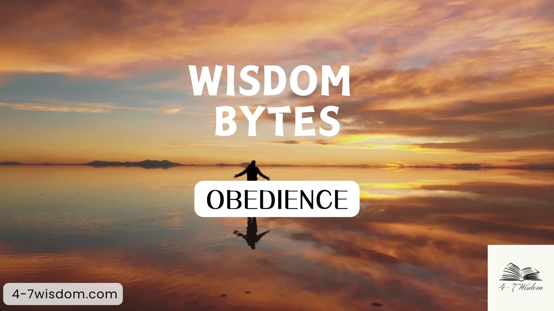 Wisdom Bytes: Obedience product image (1)