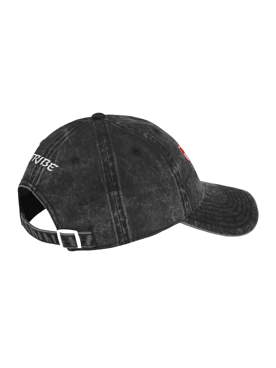 Club Ready DJ School Otto® Vintage Wash Dad Hat product image (3)