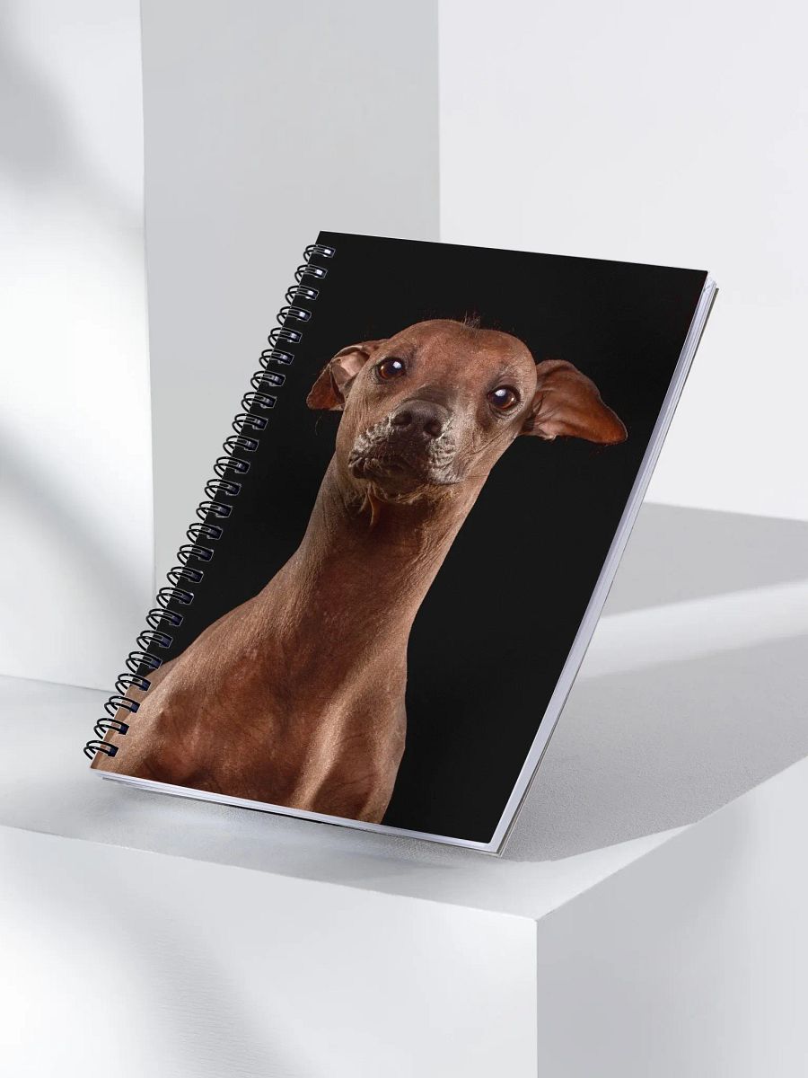 Akela the hairless wonder - Spiral Notebook product image (3)
