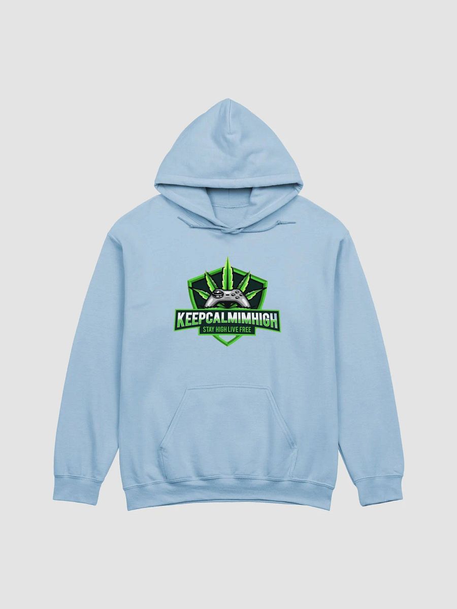 Baby Blue Hoodie ( Heavy Weight) product image (1)