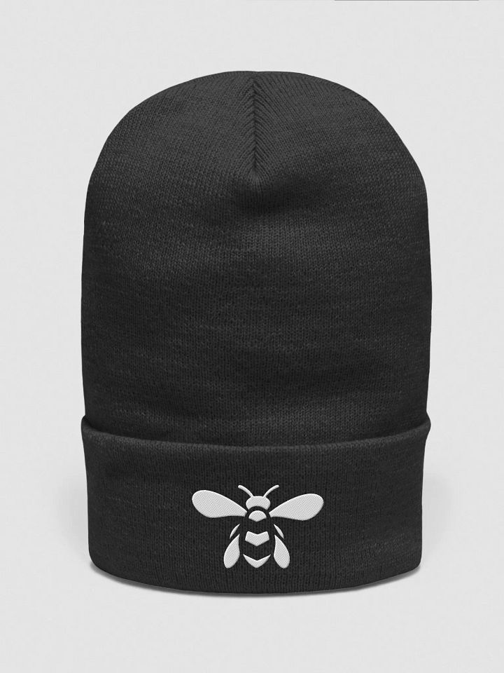 Just Bee Embroidered Cuffed Beanie product image (2)