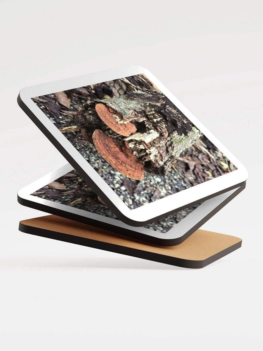 Tree trunk photo coaster product image (4)
