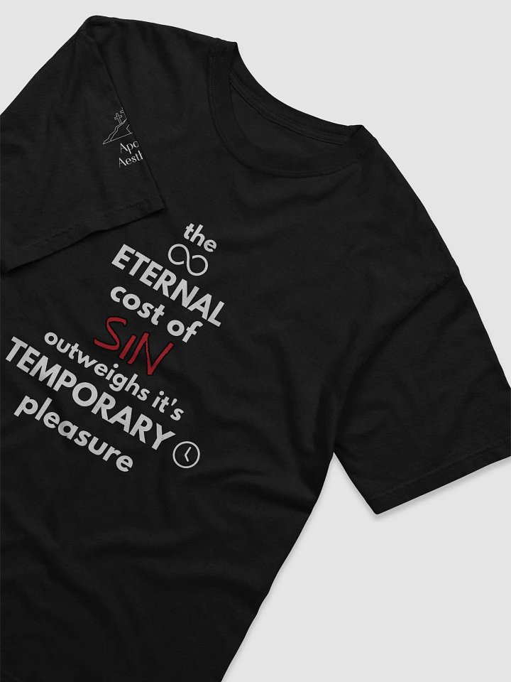 The Eternal Cost of Sin - T-Shirt product image (2)