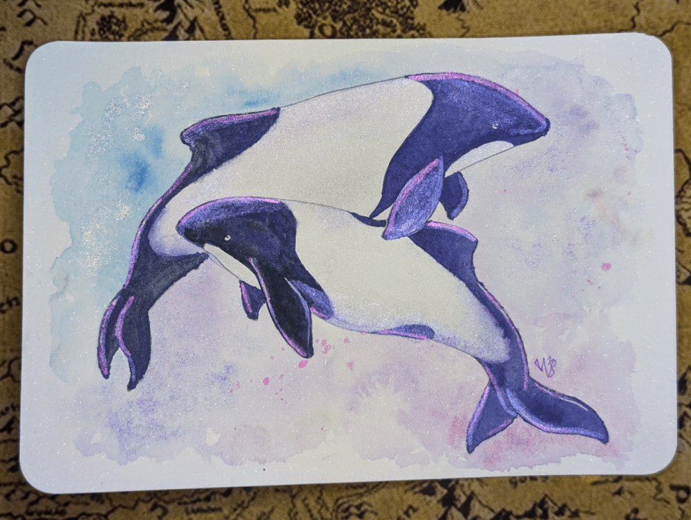 Commerson's Dolphins product image (1)