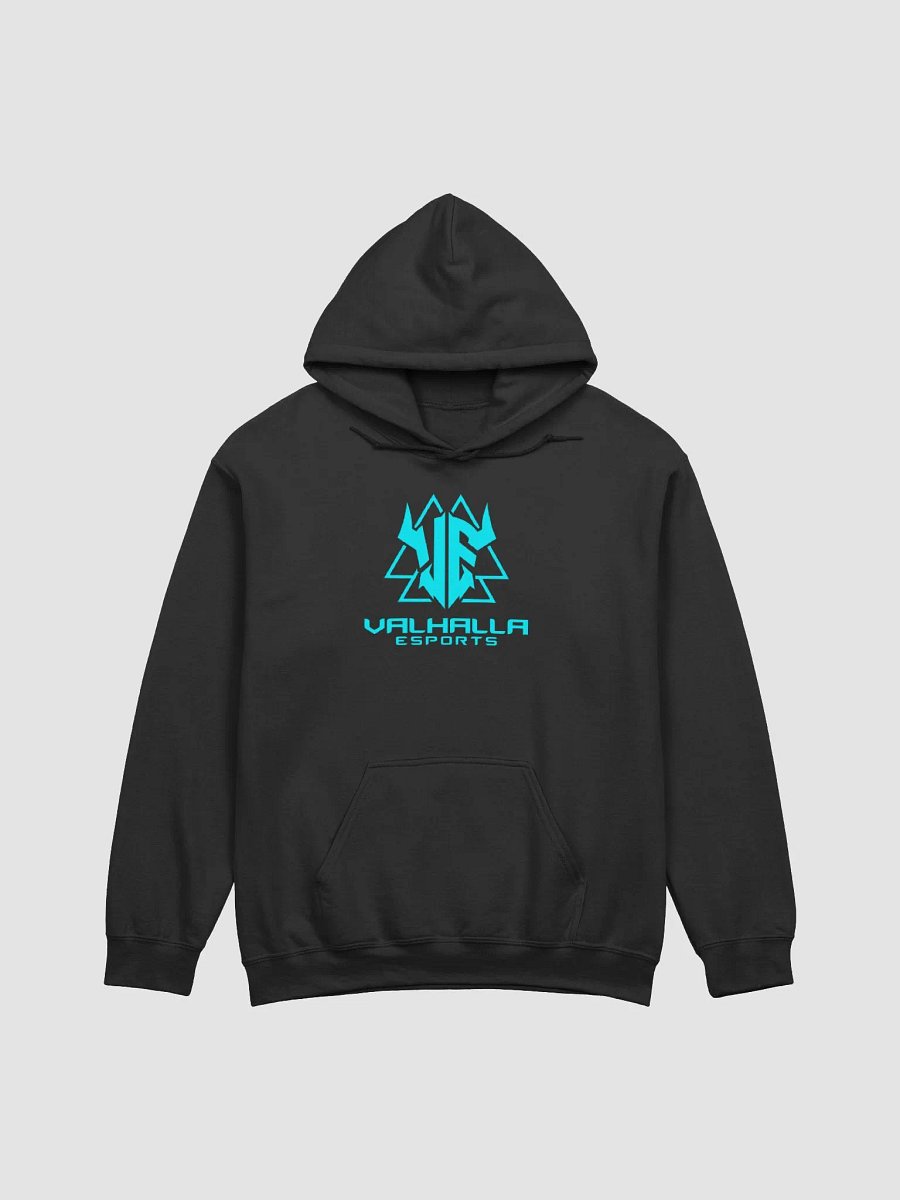 Cyan VE Logo Hoodie product image (7)