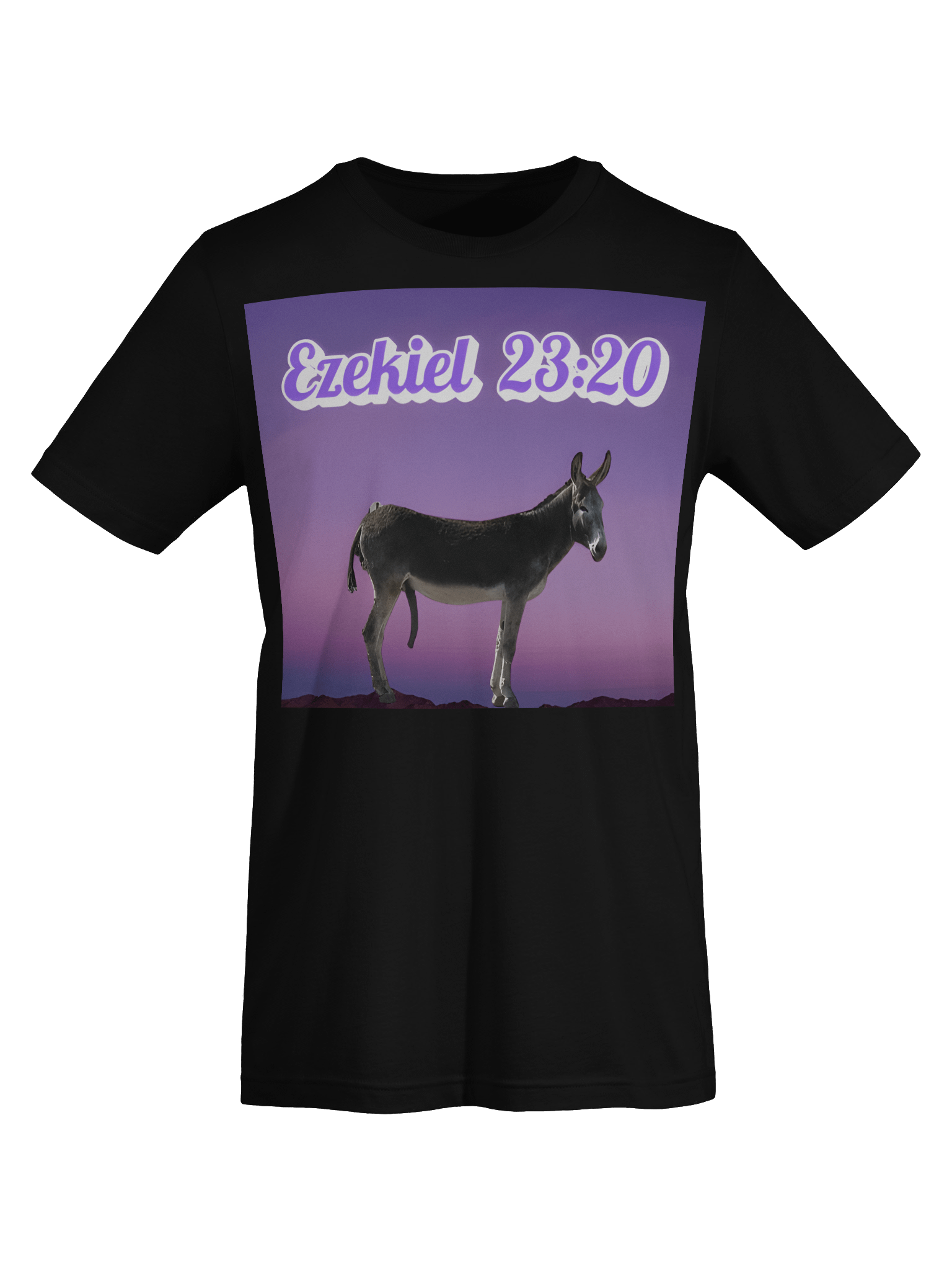 Ezekiel 23:20 Tee Shirt product image (7)