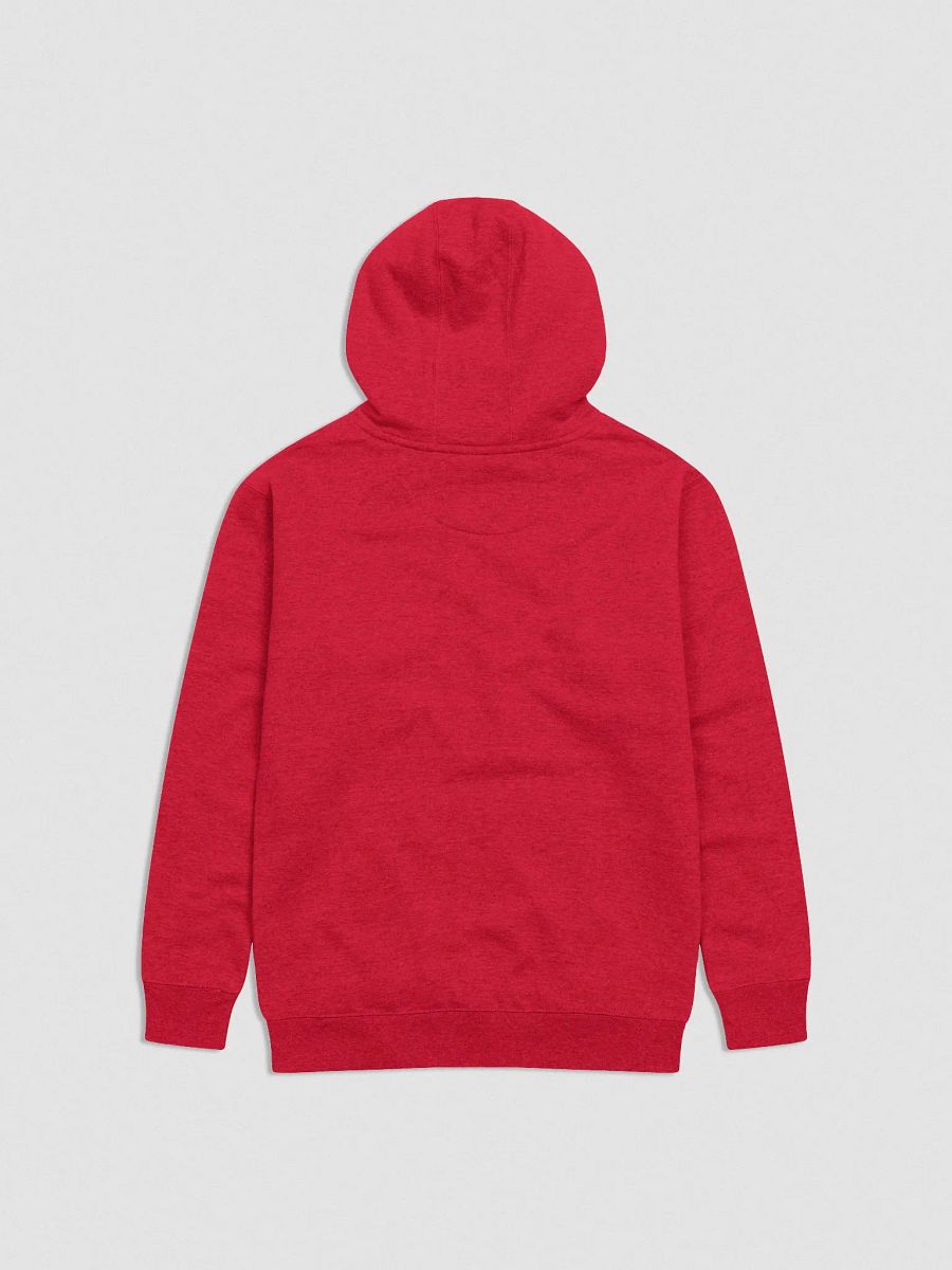 Japan 2025 Embroidered Hoody product image (8)