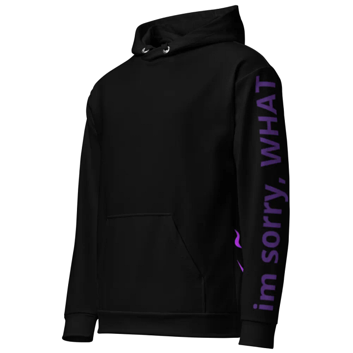 Hoodie v4 product image (2)
