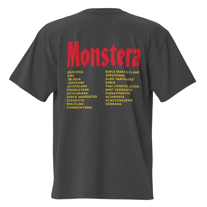 ⚡️ MONSTERA WORLD TOUR ⚡️ oversized tee product image (2)