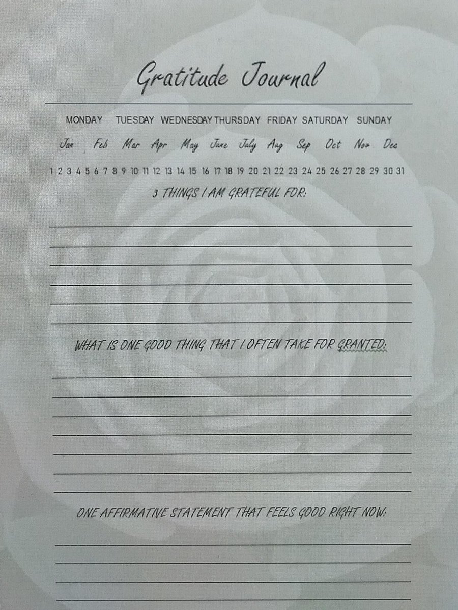 40 Day Gratitude Journal product image (1)