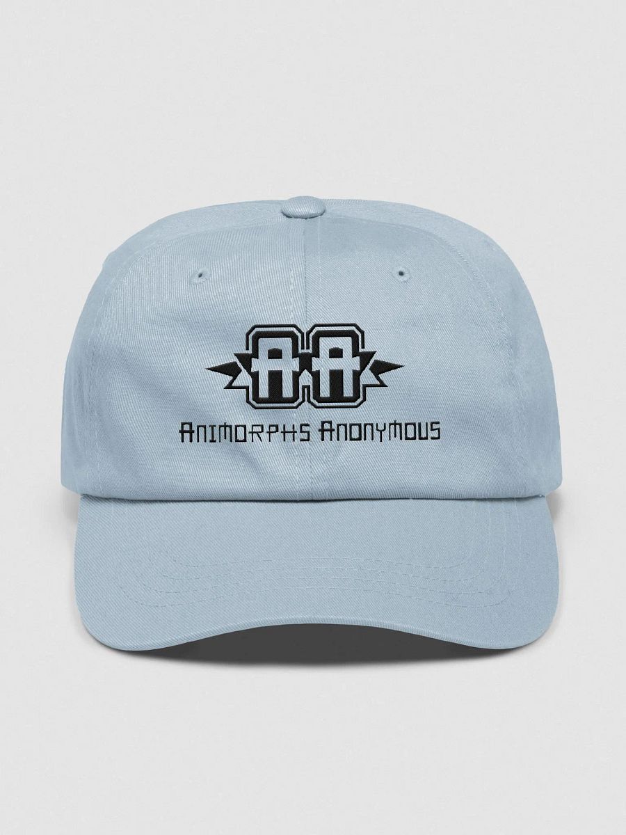 AA Embroidered Logo Dad Hat product image (1)