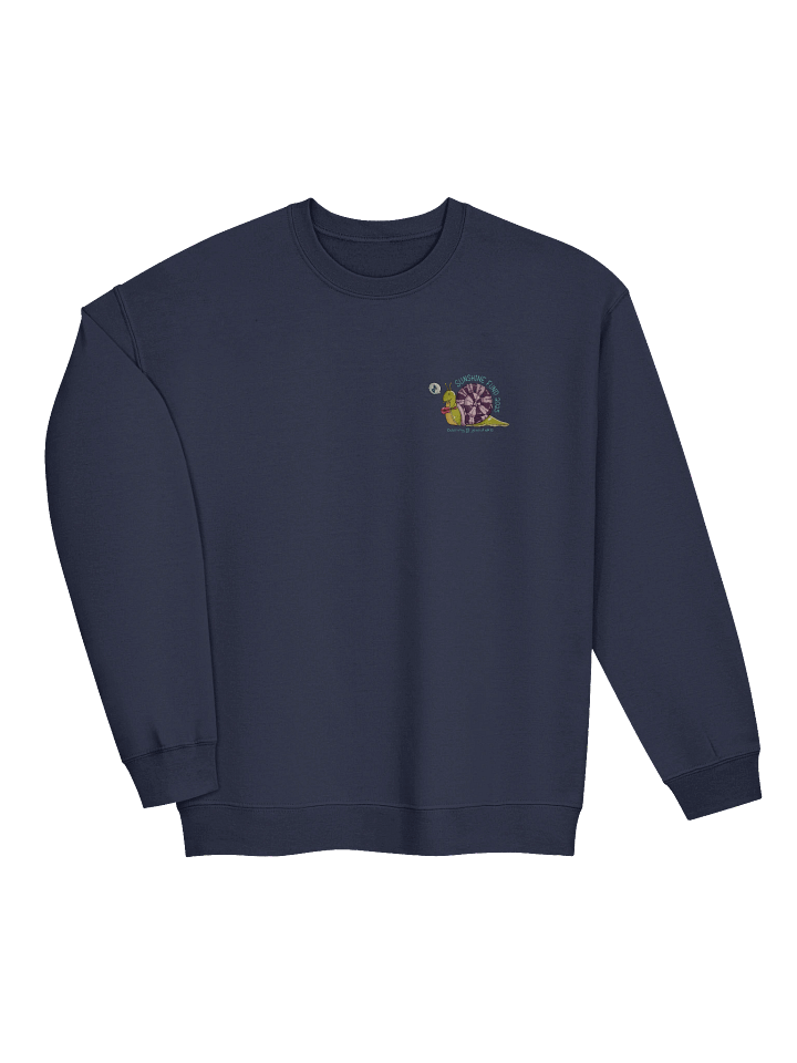 Sunshine Fund 2025 Sweatshirt (Limited edition small print) product image (2)