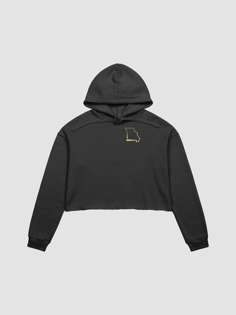Cropped Hoodie product image (1)