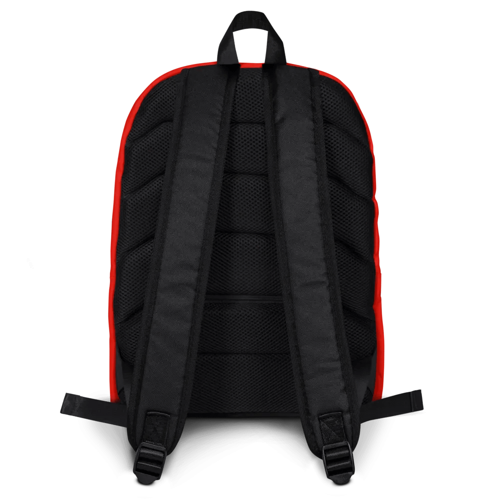 Wyoming Air Service - Backpack product image (4)