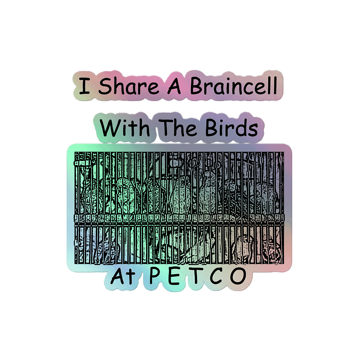 Bird Brains product image (2)