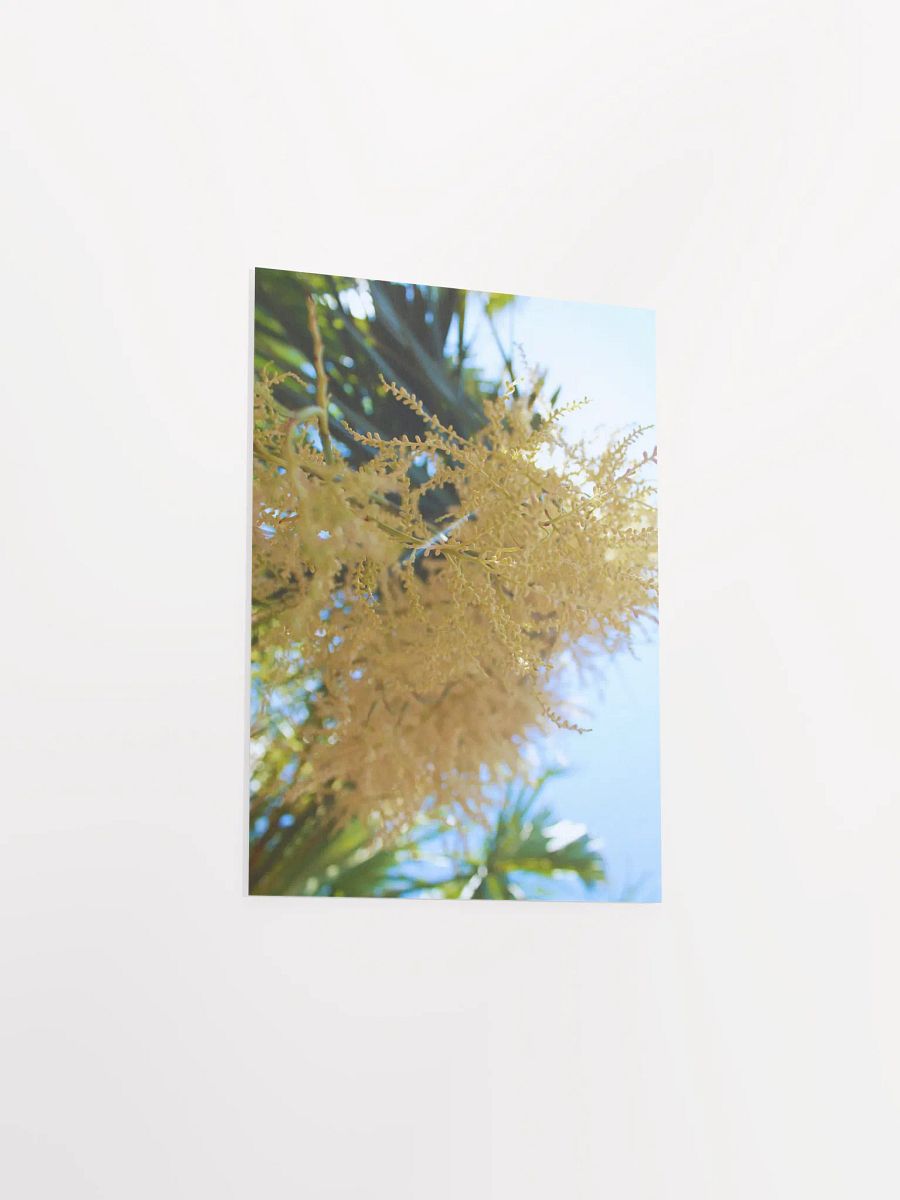To Be Tiny product image (27)