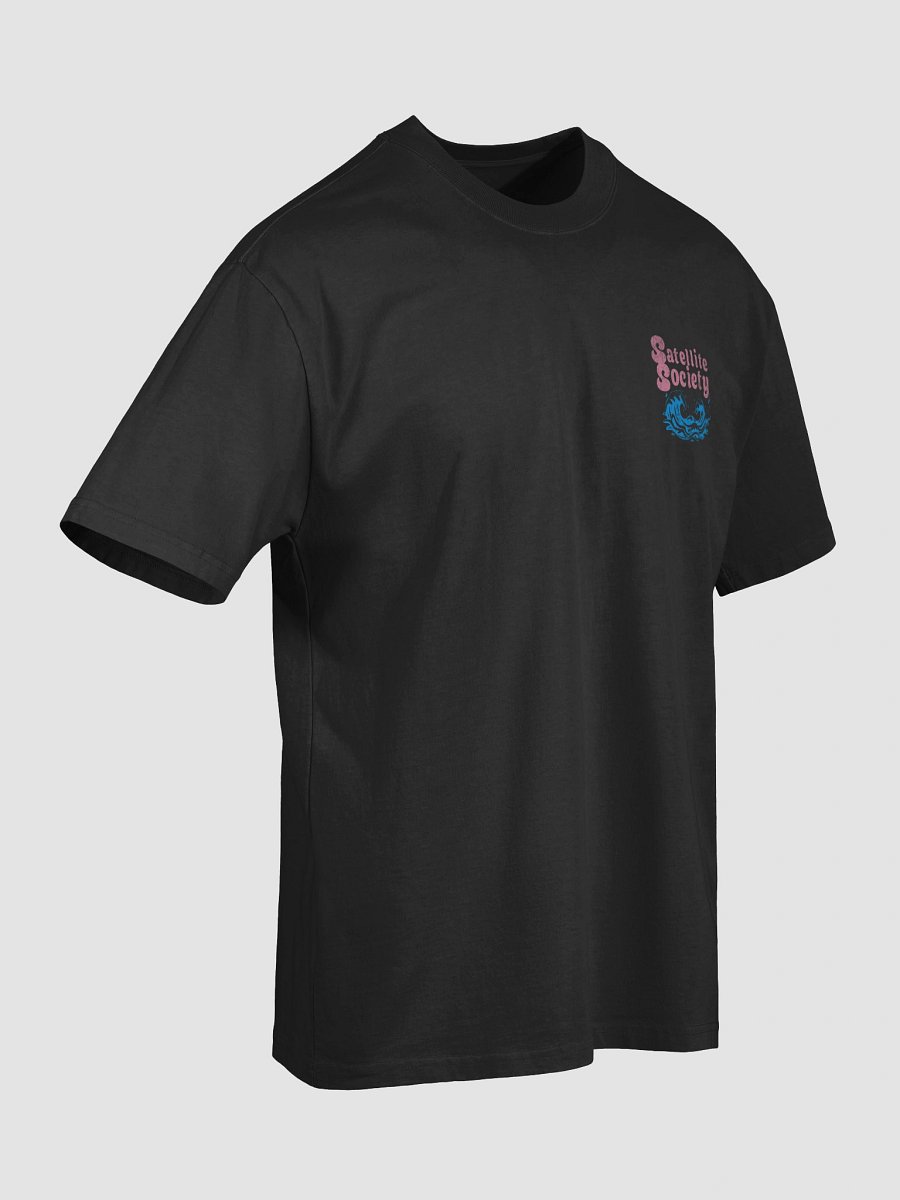 Satellite Society Flamingo Faded Tee product image (25)