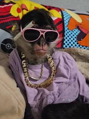 Buenos dias julia anda en modo challito valdez saludos a todos espero les guste el.video🙏🙏 #julia #fyp #monkey #rafaelwey1 #rafaelito 