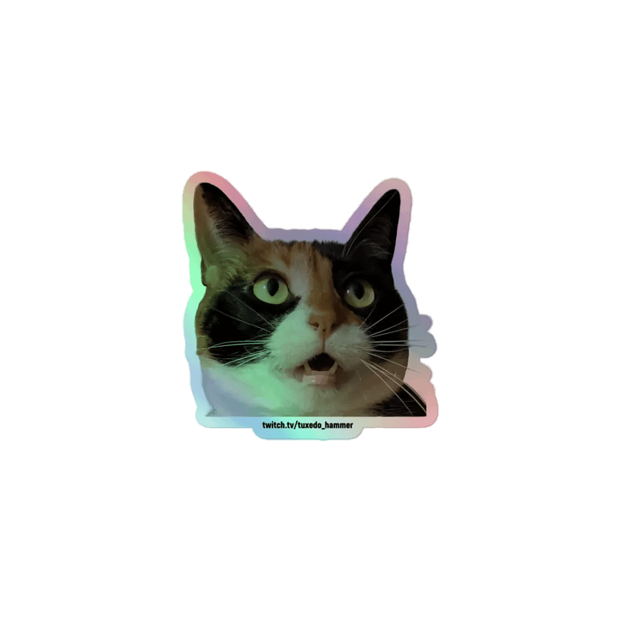 Rogue Holographic Sticker Set product image (1)