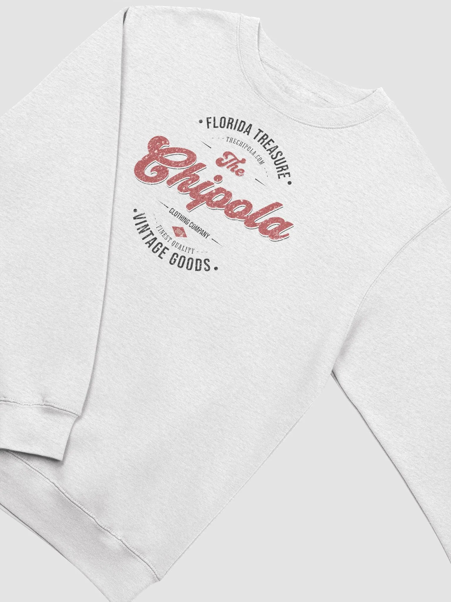 The Vintage Goods Chipola Sweatshirt product image (2)