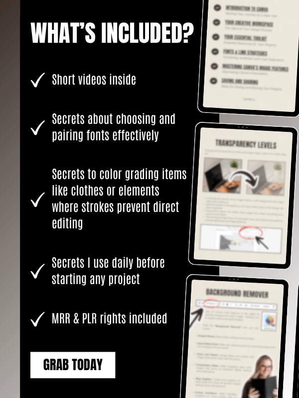 MRR/PLR Crash Course for Canva product image (4)