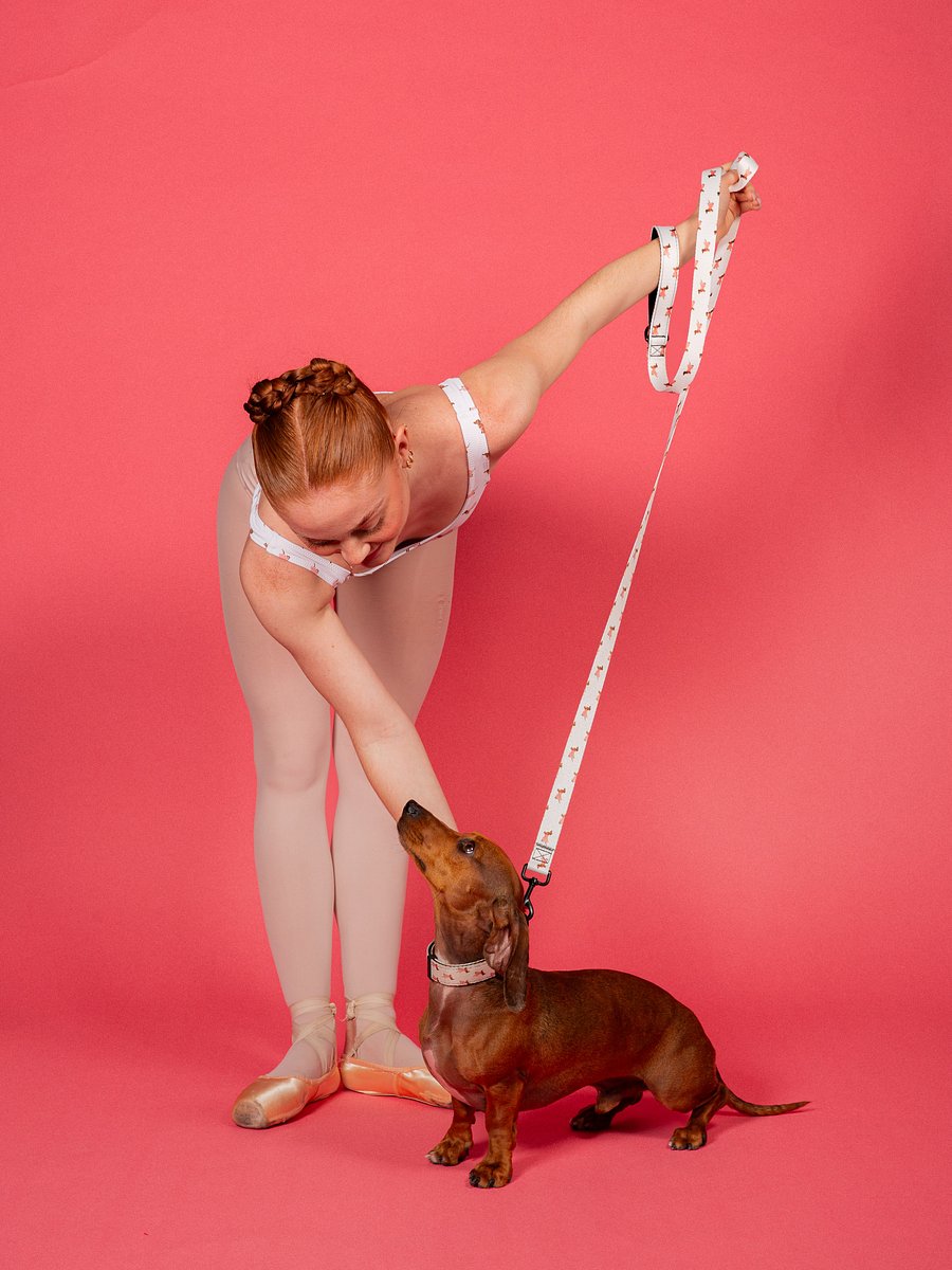 Doxie Leash product image (4)