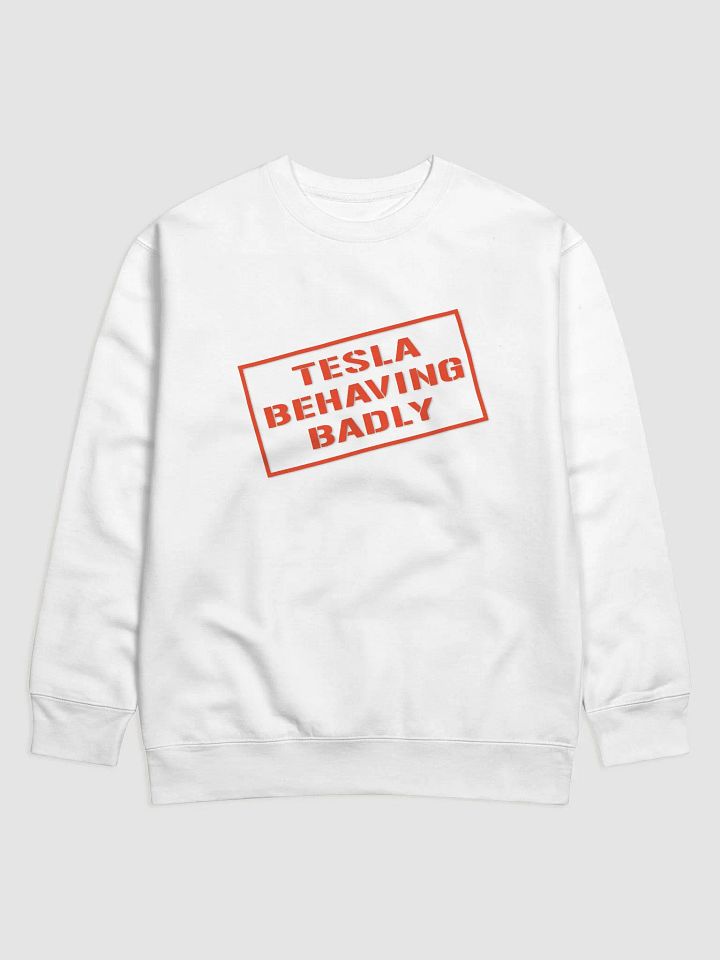 TESLA BEHAVING BADLY SWEATSHIRT product image (1)