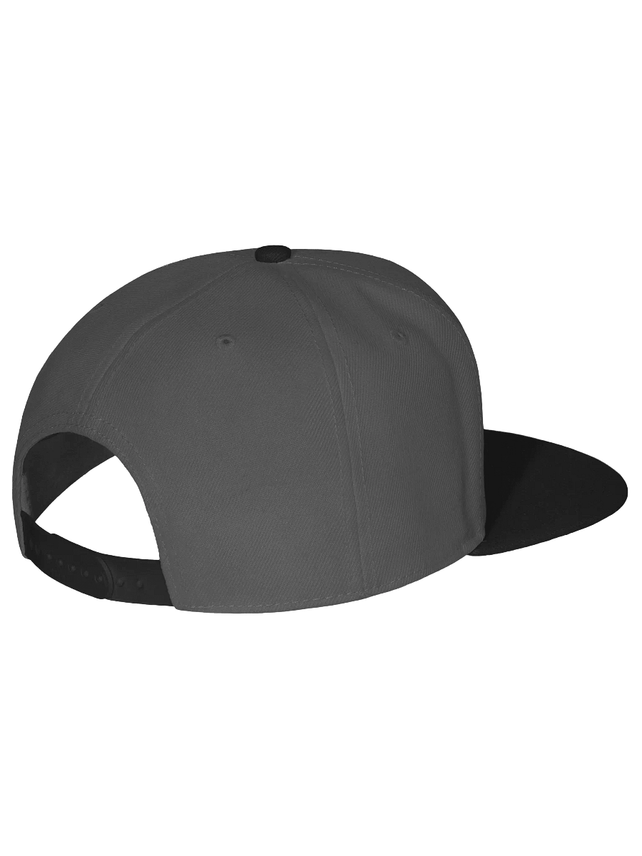 The Mod Snapback product image (11)