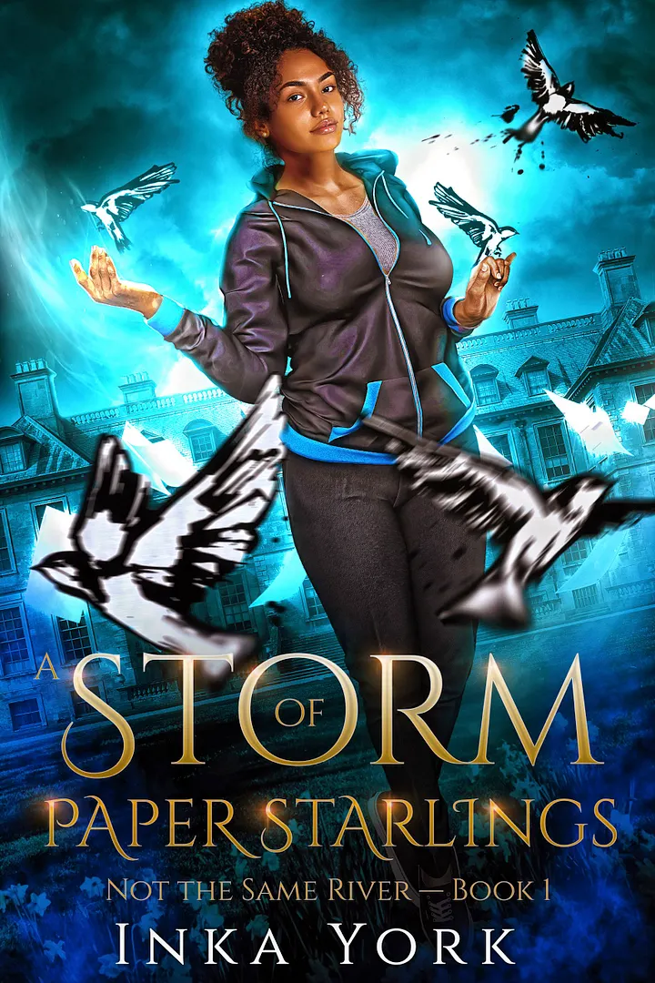 A Storm of Paper Starlings (Not the Same River #1) (ebook) product image (1)