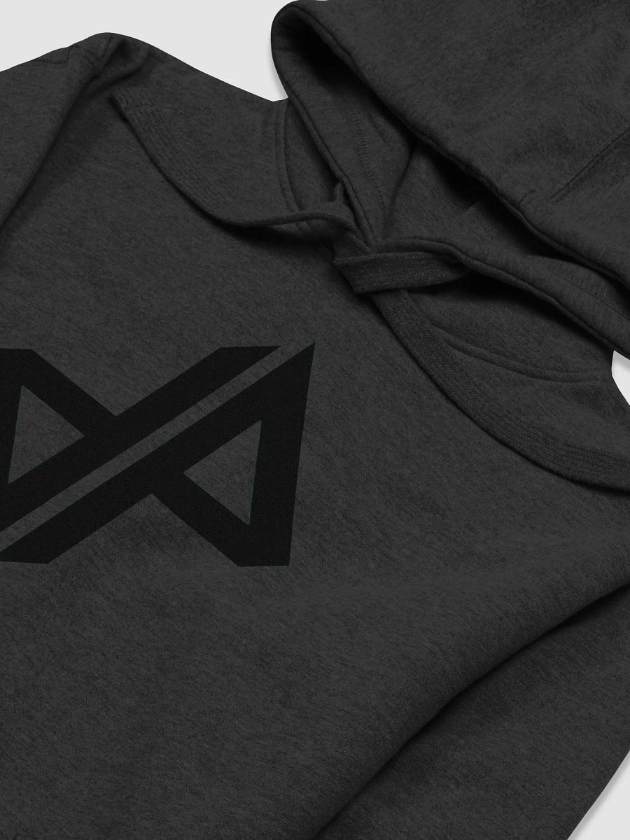 DP Logo Hoodie (Black) product image (3)