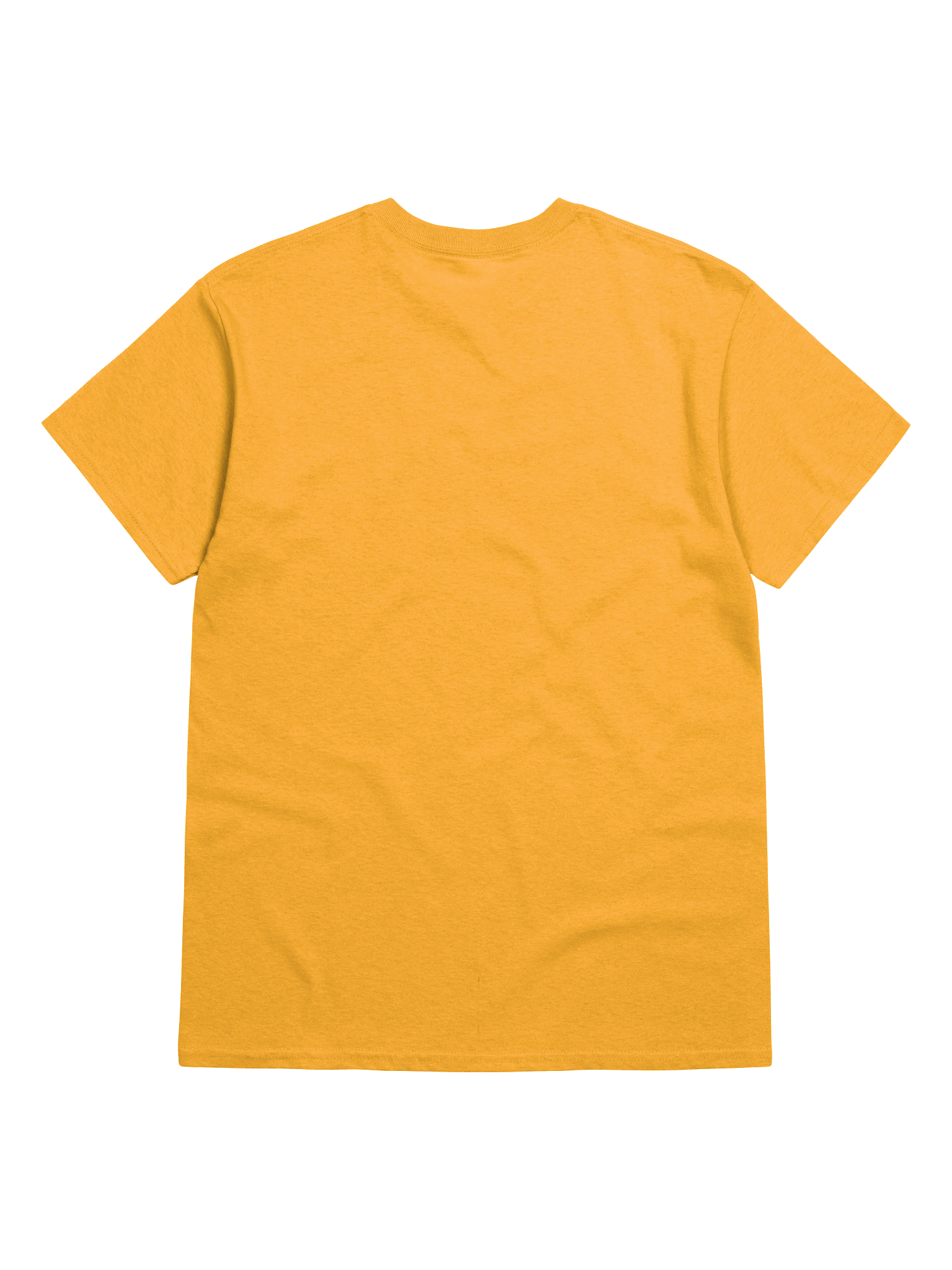 No Zoombini Left Behind T-Shirt product image (78)