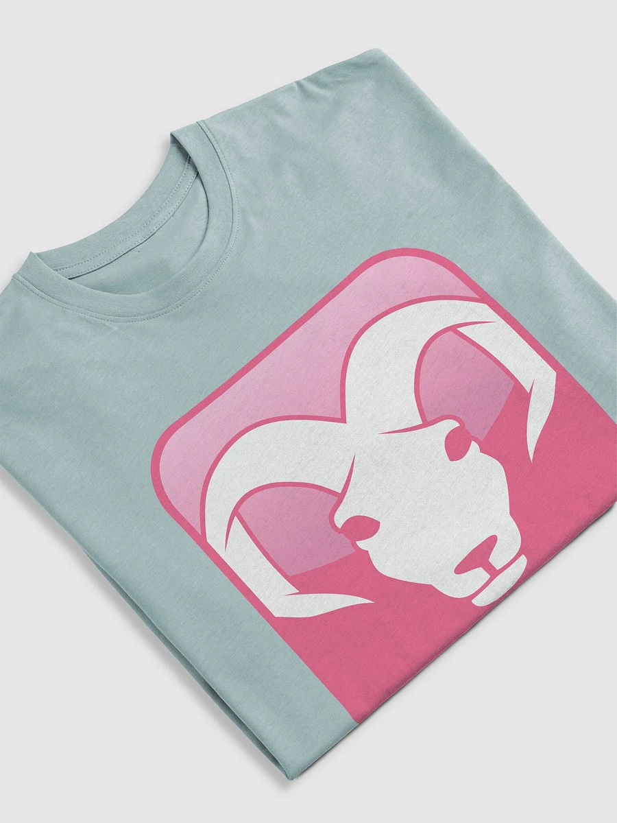 ARIES T-shirt product image (5)