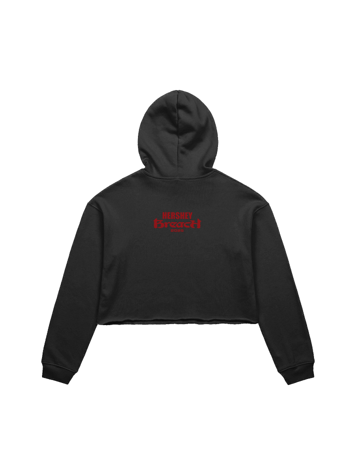 Breach Hersheypark Stadium Crop Top product image (2)