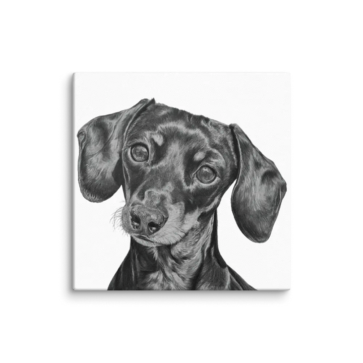 Miniature Dachshund - Canvas product image (1)