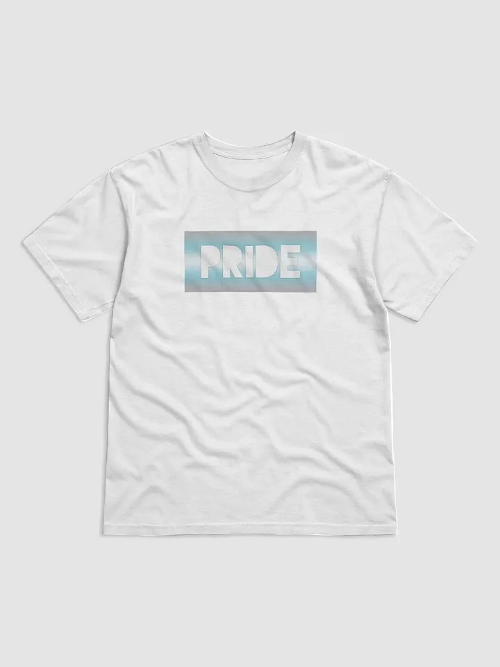 Demiboy Pride On Display - T-Shirt product image (1)