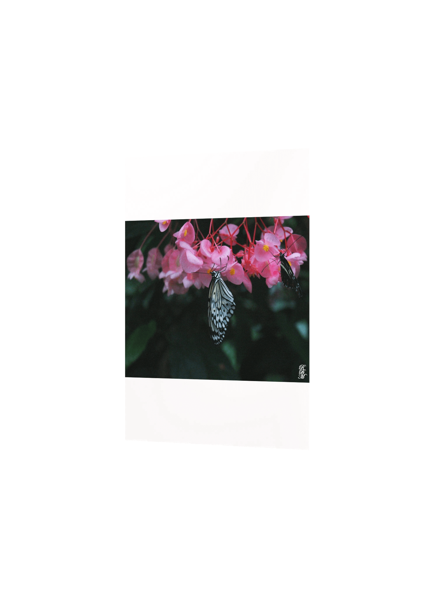 Butterfly Hanging from Flowers product image (9)