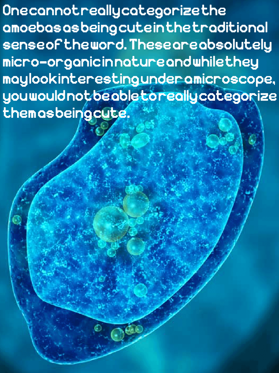 Sarcodina font product image (8)