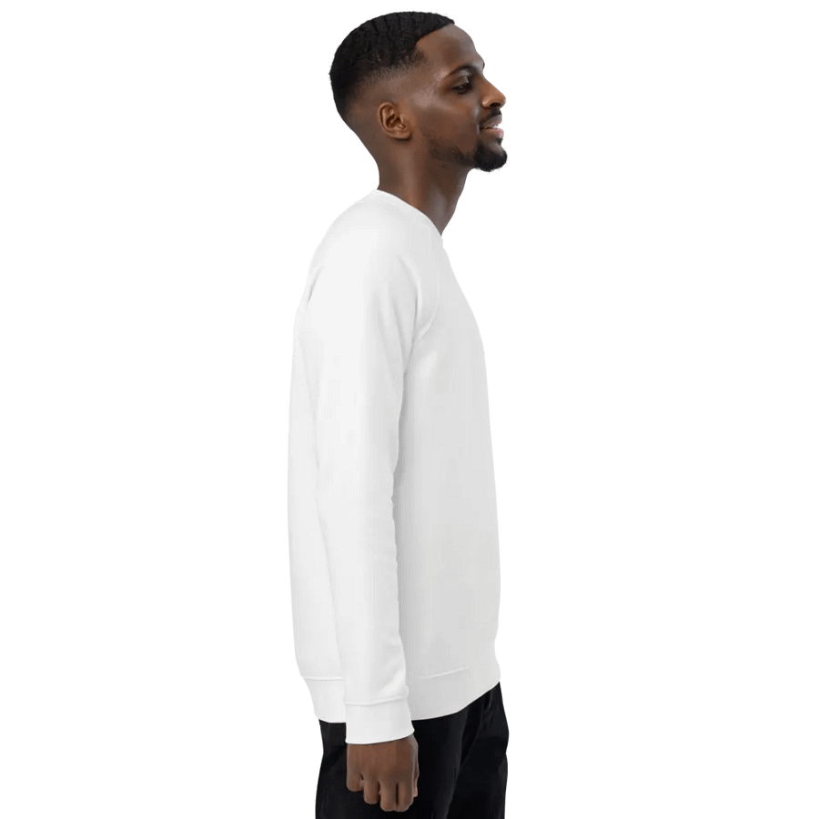 Raw Intuition Watermelon Wisdom Sweatshirt product image (8)