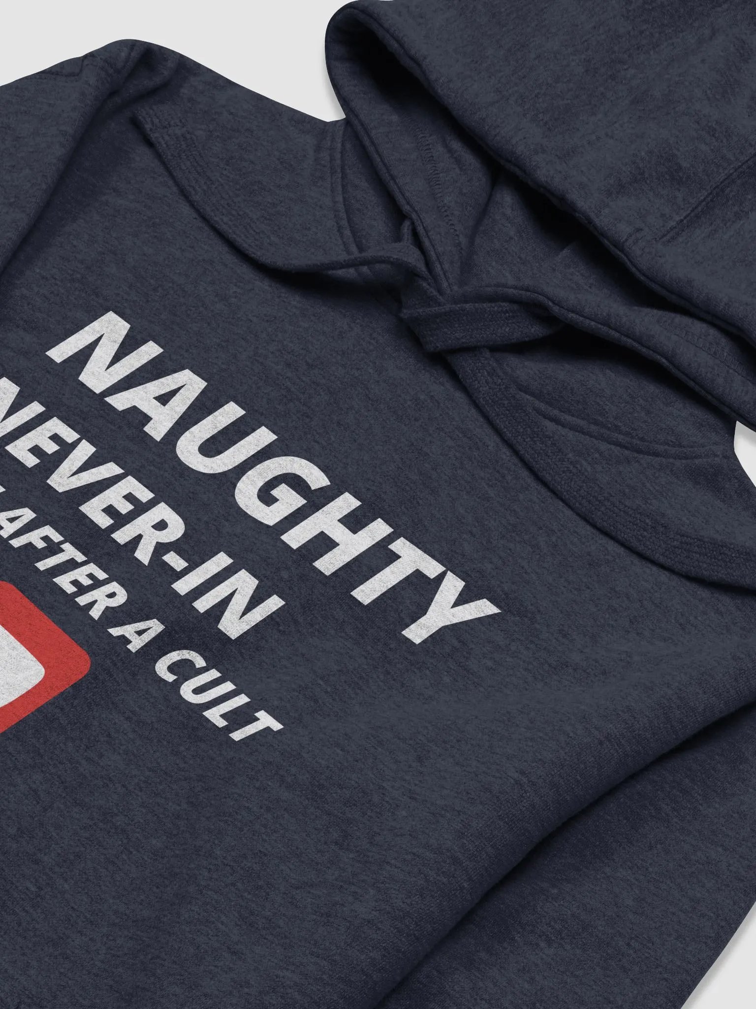 Naughty Never-In Hoodie - Black product image (3)