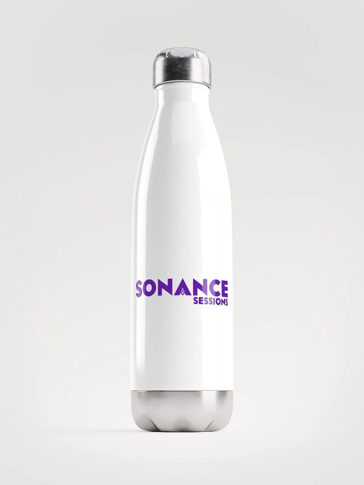 Copy of Stainless Steel Water Bottle product image (1)