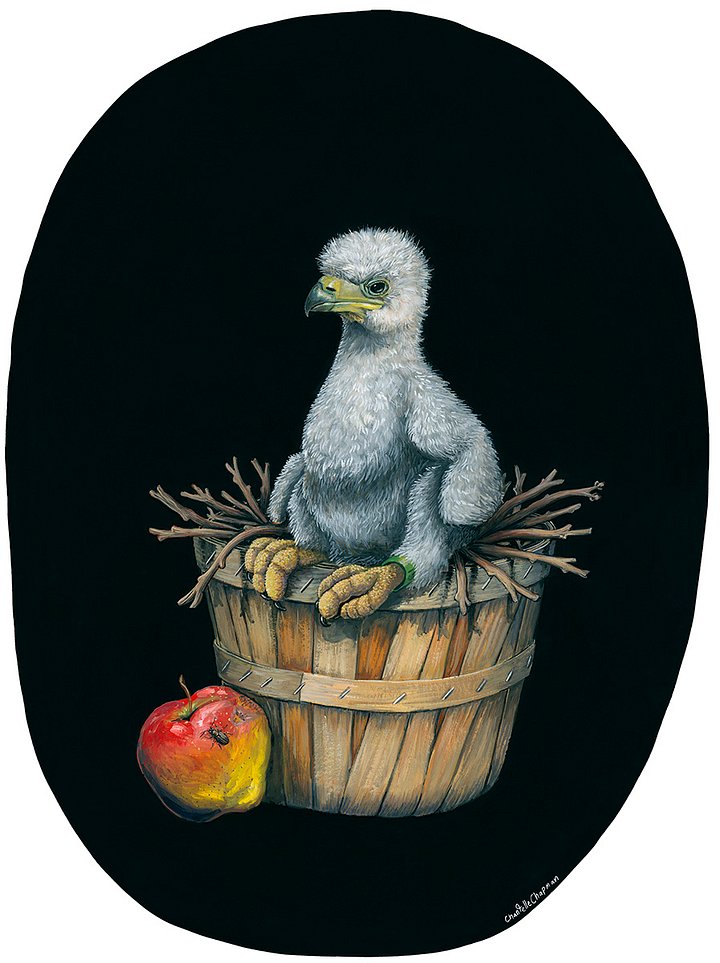 Pesticide Mitigation (Bald Eagle) - Art Print product image (1)