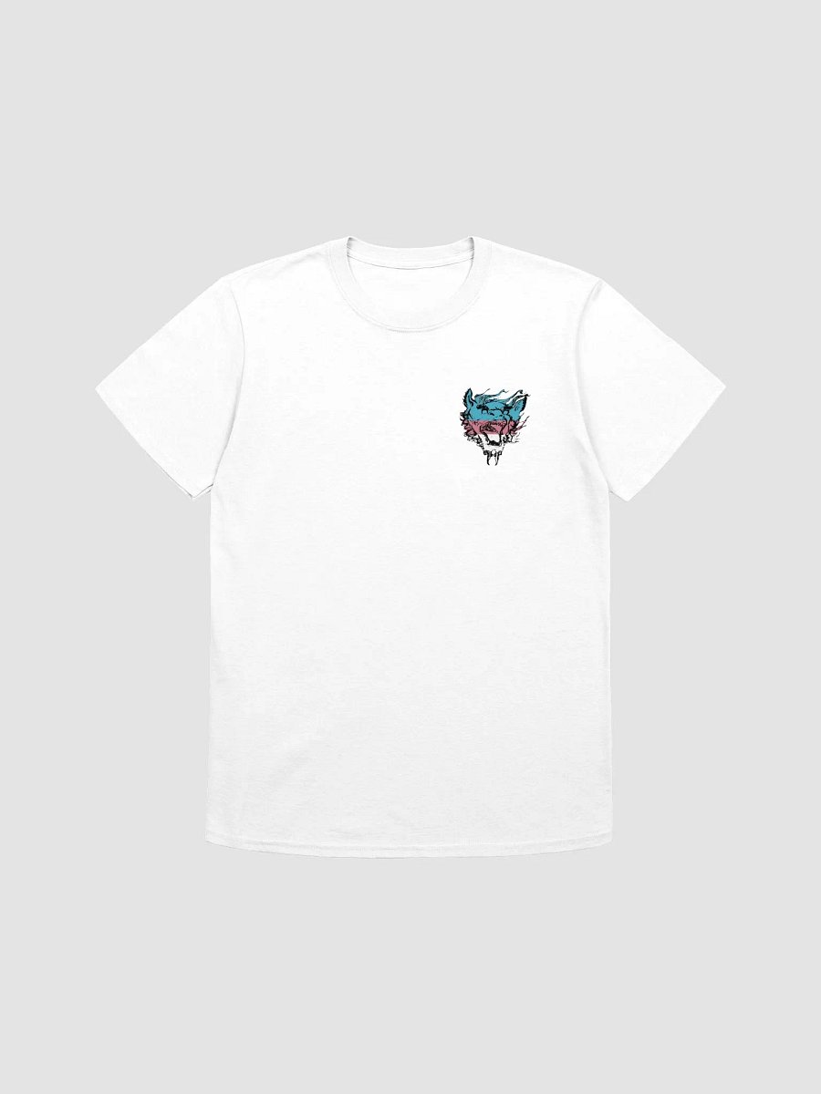 S.E.Y.T. Flag 2 shirt product image (1)