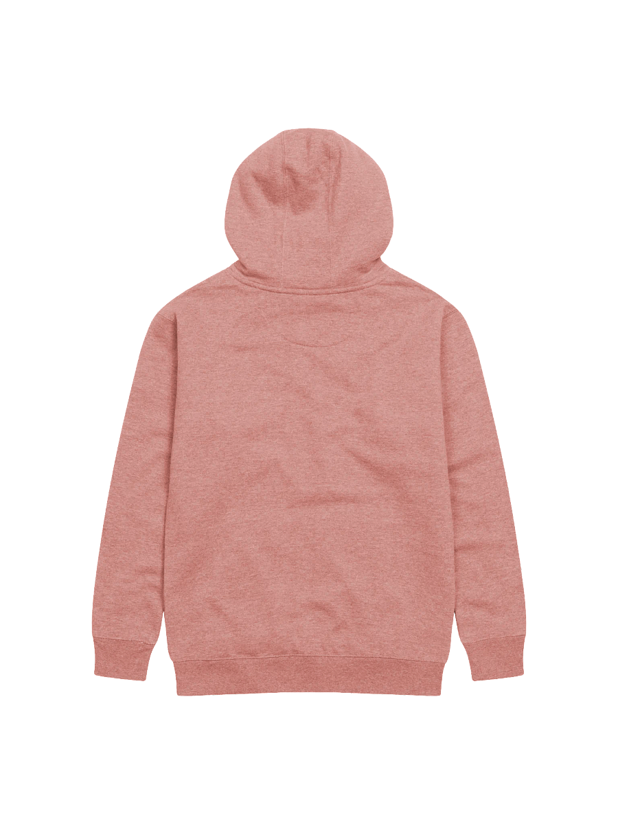 FROGMONEY2025 Palian 1%er Embroidered Hoodie product image (13)