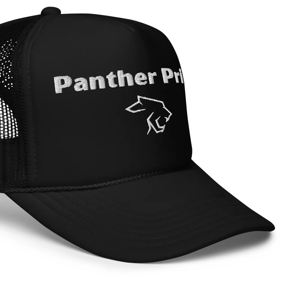 Panther Pride 2.0 Hat product image (5)
