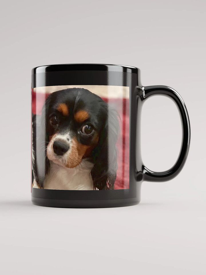 Myra and her 2024 Puppies product image (1)