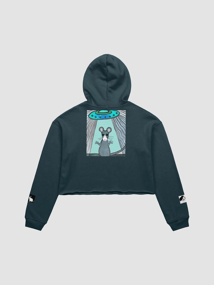 blue rat and UFO cropped hoody (branded) product image (11)