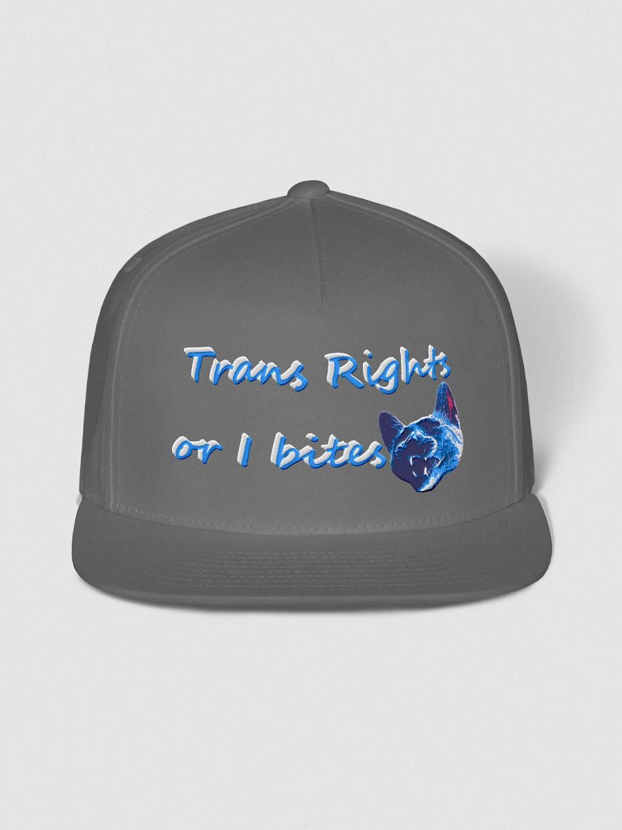 TROIB Snapback hat in blue product image (2)