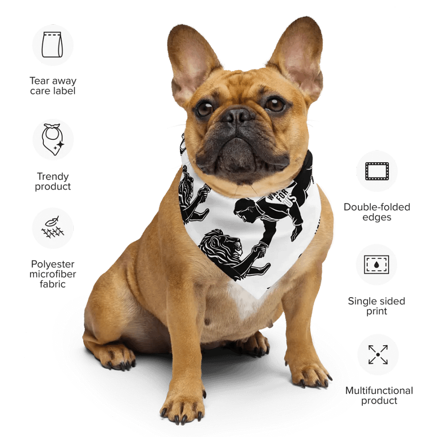 Courageous Alliance Bandana product image (5)