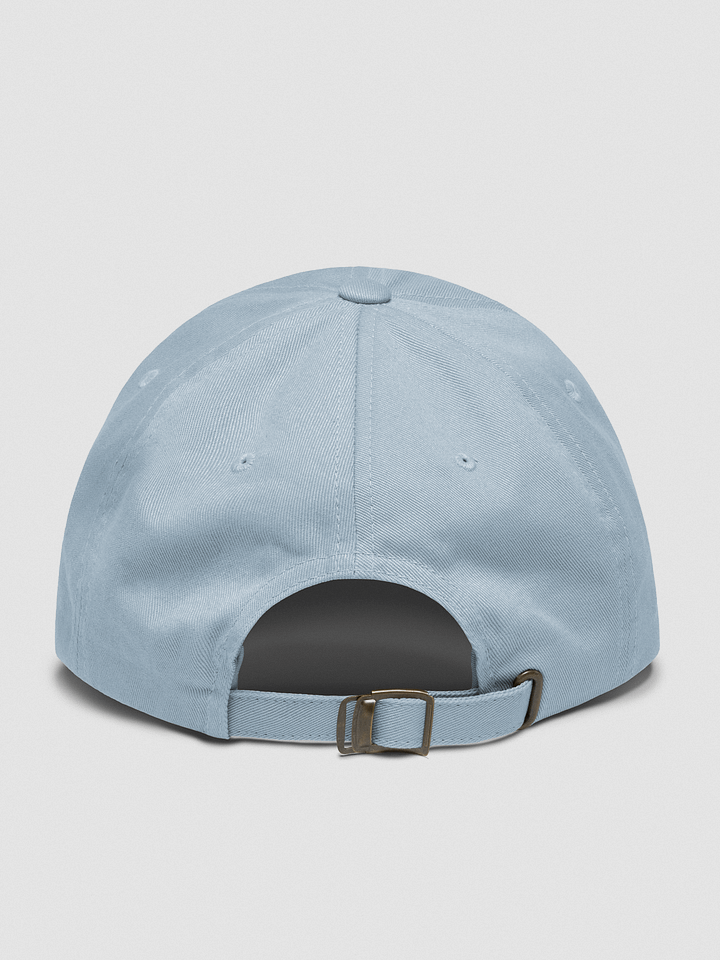 TRTOF Dad Hat product image (8)